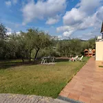 Freedom - Imp520 By Interhome *